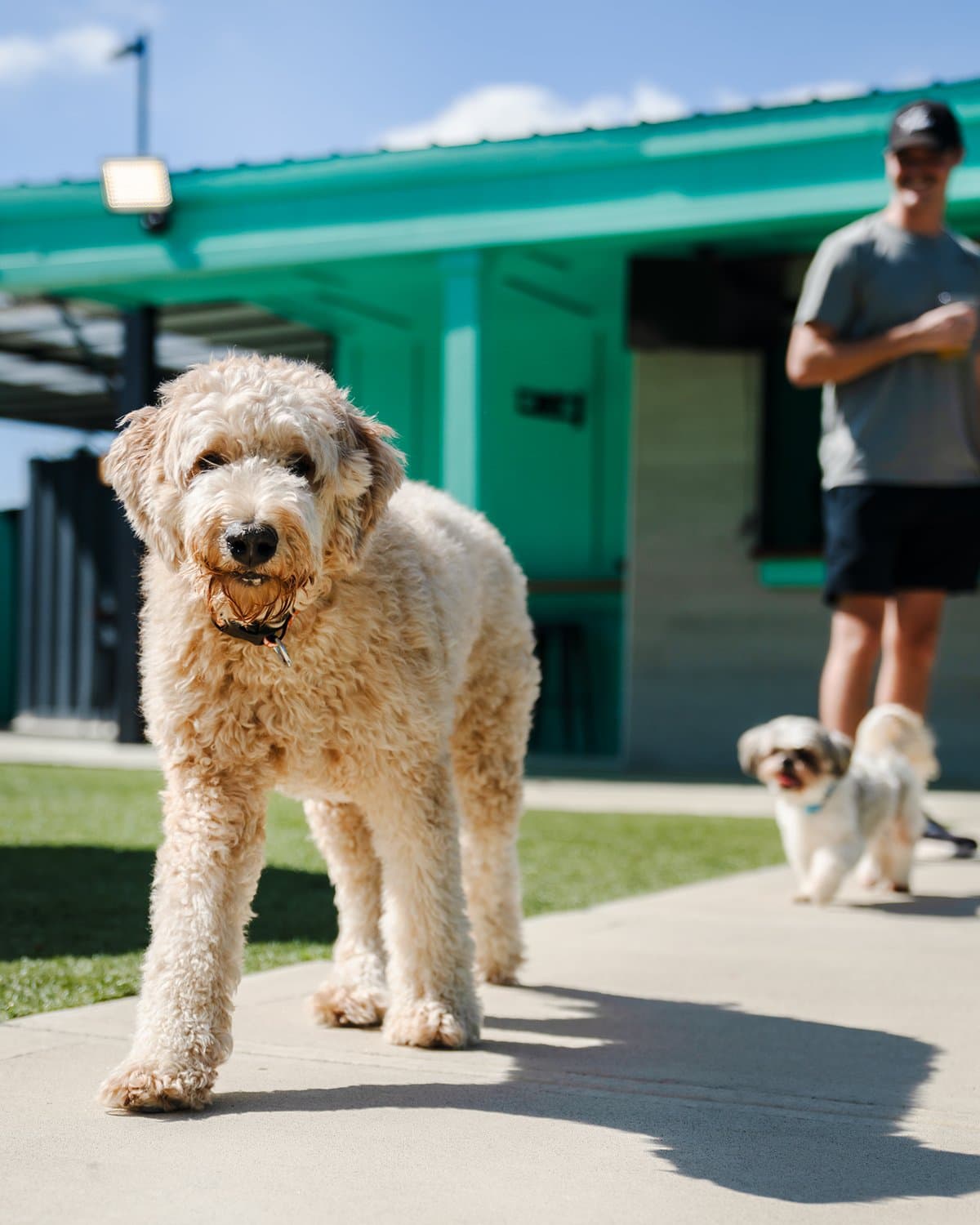 Social media content showcase